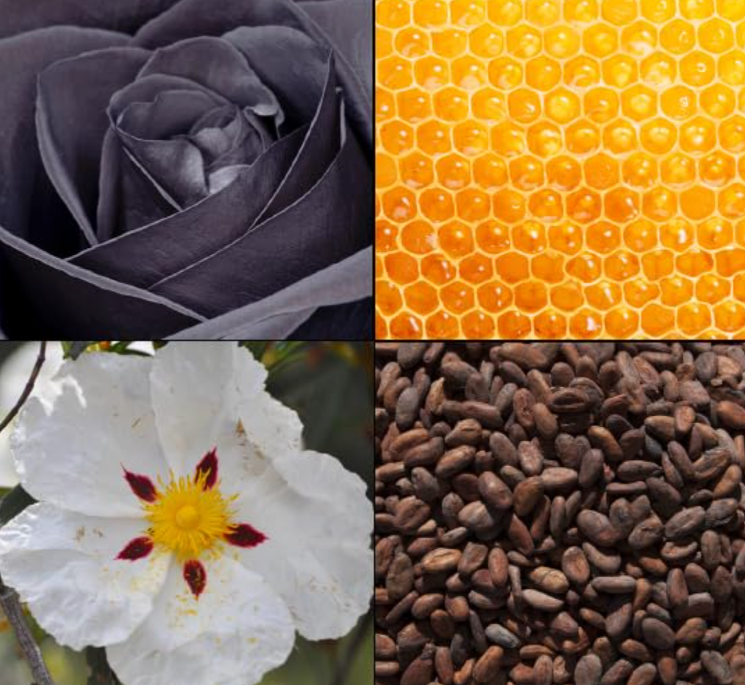 Tesori d'Oriente BYZANTIUM BLACK ROSE & LABDANUM Body Lotion-250ml